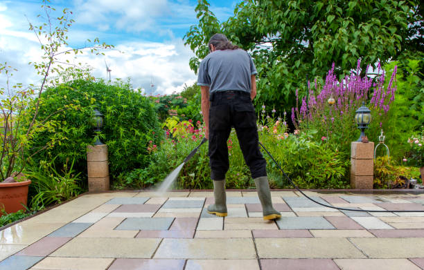 Best Sidewalk and Walkway Cleaning  in Accokeek, MD